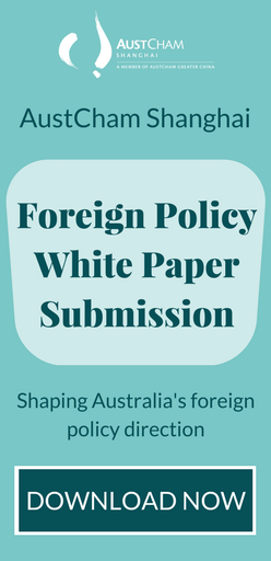 <p>Foreign Policy White Paper</p>