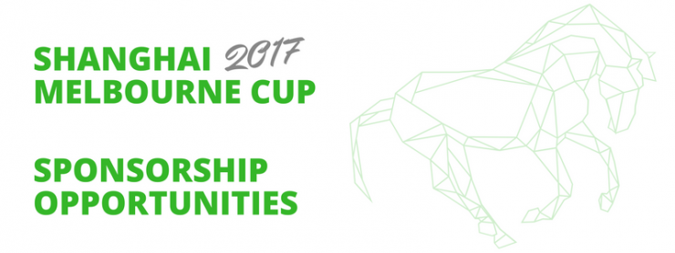 <p>19th Shanghai Melbourne CUp call out for sponsors</p>