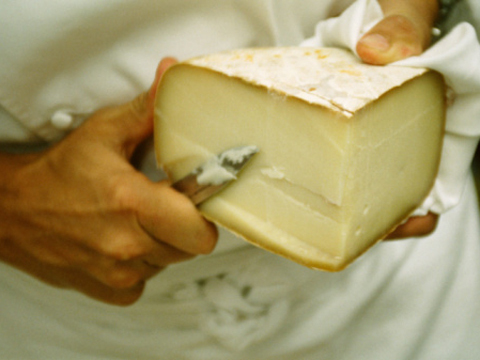 <p>hand cutting cheese</p>