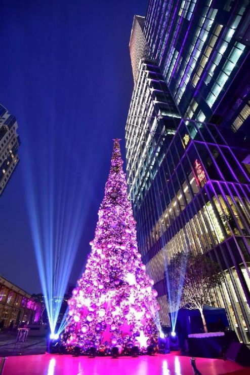 <p>Illuminated Christmas tree</p>